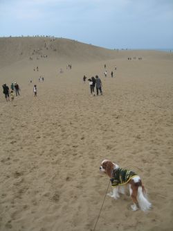 あの山登るの?!