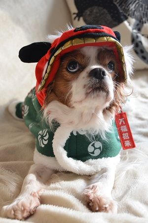 記念撮影