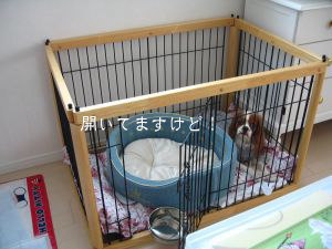 あんたそんなんでいいんかい