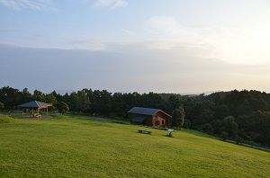到着してすぐに、また来たいと思った