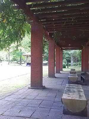 小鳥の森