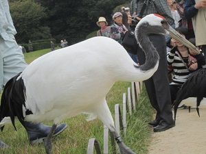 そろそろっとな