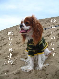 水平線を拝んで
