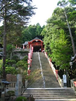 運動不足だからきついよ