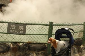 暑いのよー