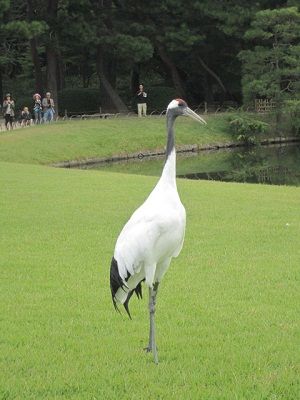 すくっとな