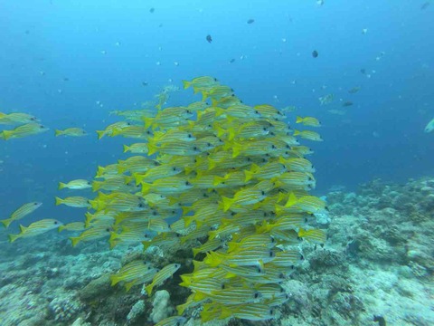 4543A3A8-4257-460C-8EE7-C3707E8BEB93