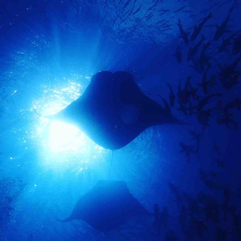 5DDB0820-501F-4879-AD67-538E32B09FDC