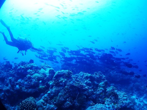 PSFix_20190628_165546