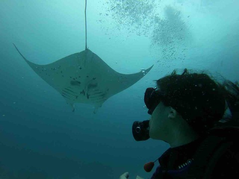 6ADD8077-CFB9-476E-9E2E-E7E2D7A13B78