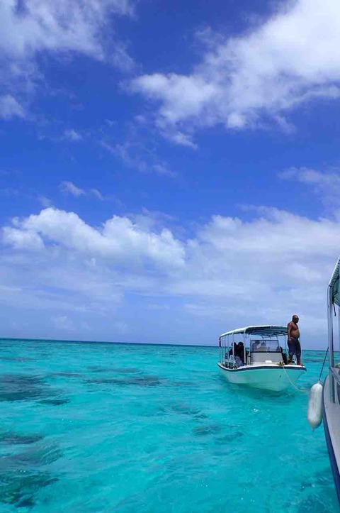 DA709CC0-D5FE-4966-B055-84F037D42920