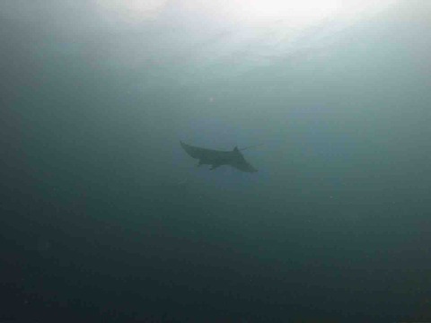 1E43B2CA-4789-46B6-9043-24D240245D32