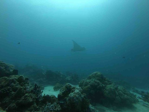 8D422ACD-48C3-4631-B959-0DDA423E17C1