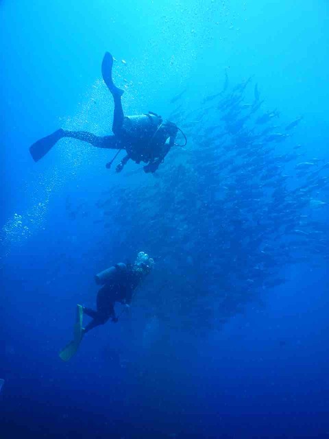 E925F389-4BB7-483E-81F7-743C3E1C1AEA