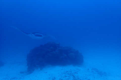 OI002887