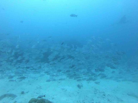 E1189276-3F86-408E-AFAD-907964446EB9