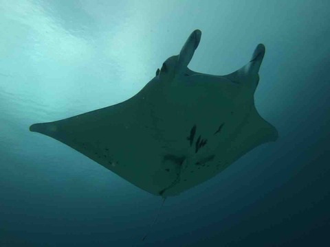 872B9850-711A-4891-A53D-D05664BCDCC5