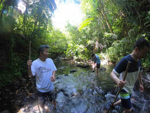 FF55E3EF-B81F-4AF8-AD16-29C9ED832A22