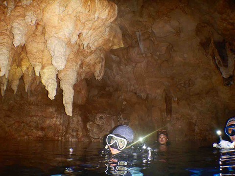 D6101A5A-46CC-4614-85CA-964F4E41EA18