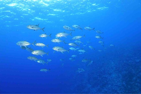 9AC761C7-32BC-45E8-917A-FDCC783BB6F3