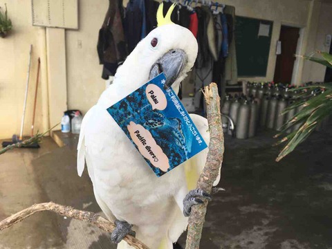 F7E20BAC-D2F6-453C-B8B5-19E6F1E9C498