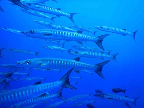 7816F311-8FFB-49A7-89AD-A66E57B88B0A