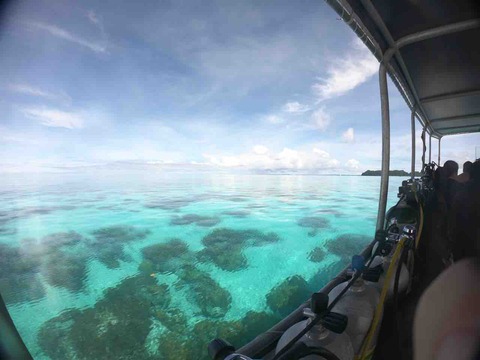 IMG_4981