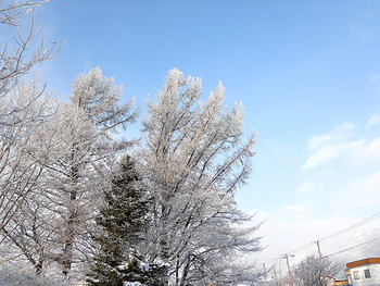 DSCN4247