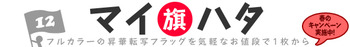 flag_banner_top2