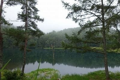DSC01965