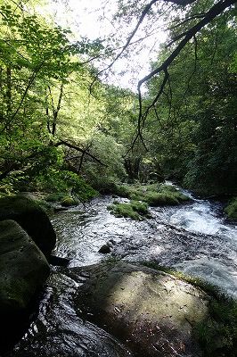 DSC02018