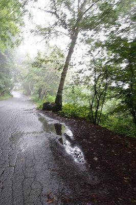 DSC01934