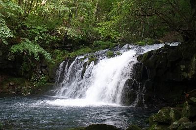 DSC02027