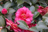 IMG_0040