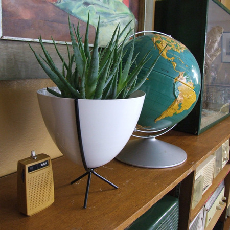 bullet planter short