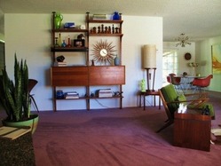 stylish-mid-century-living-rooms-66-554x415[1]