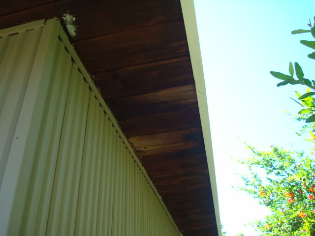 DSC01584