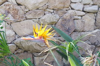 IMGP3345
