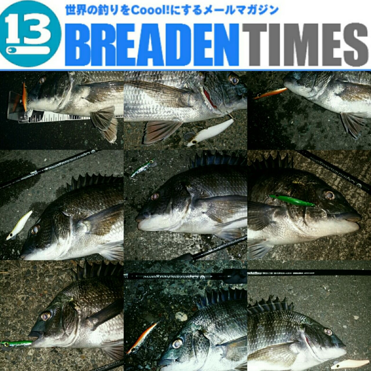 Breaden Times メールマガジン ぱるます Lure Fishing