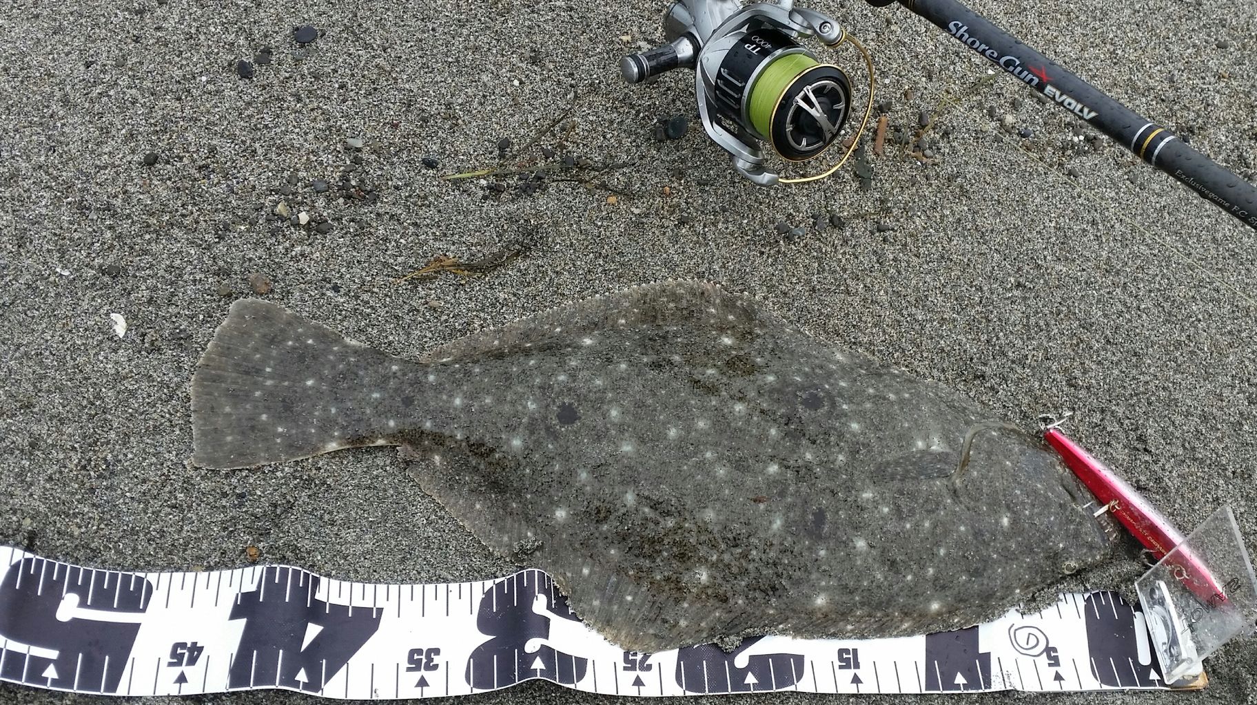 エフリードメタル ビーチウォーカーフリッパー使用感とヒラメ一枚 ぱるます Lure Fishing エフリードメタル ビーチウォーカーフリッパー使用感とヒラメ一枚 ぱるます Lure Fishing
