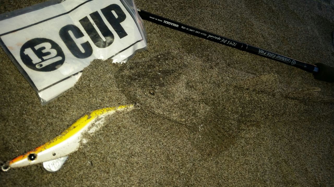 サーフのヒラメ初挑戦 ぱるます Lure Fishing