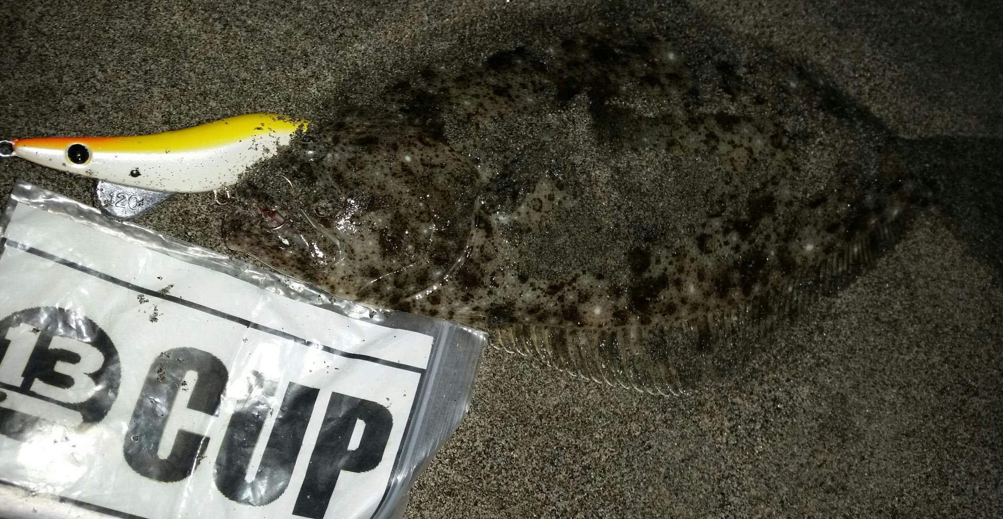 超越1 サーフ ヒラメ マゴチについて ぱるます Lure Fishing 超越1 サーフ ヒラメ マゴチについて ぱるます Lure Fishing