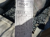 P1130704