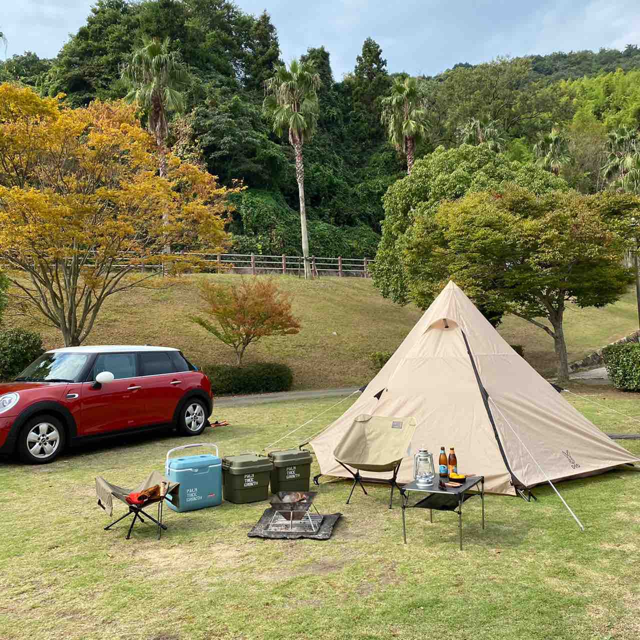 大人気】DODワンポールテントMの設営方法⛺️ : Palm treeのまったり