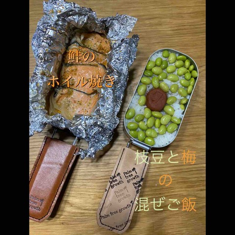 今話題のアレで作る 鮭のホイル焼き と 枝豆と梅の混ぜご飯 Palm Treeのまったりキャンプブログ
