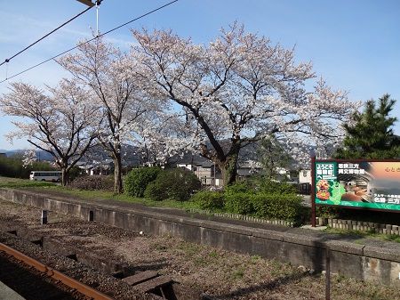 DSC00349.jpg