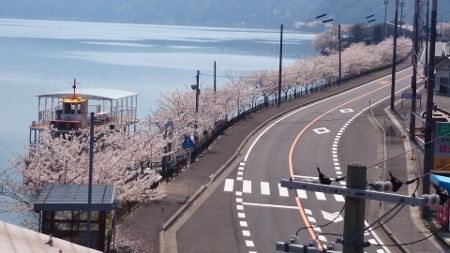 DSC_0051 (450x253)