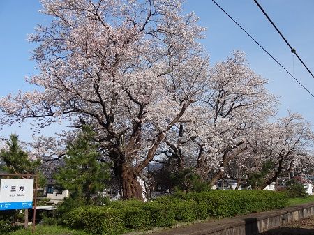 DSC00352.jpg