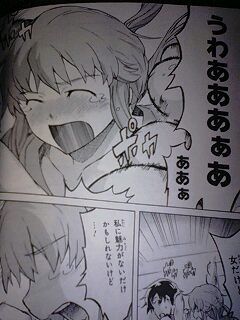 未来日記11巻 ぱみふに