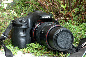 YK　ニコンD60+Tokina 70-210mm f4-5.6 セット 41CUXJiKX8L.jpg